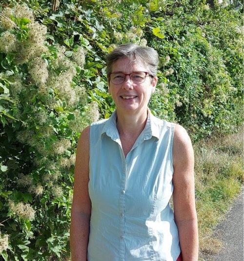 Riet Mous IKC De Hoge Hoeve 1500X535